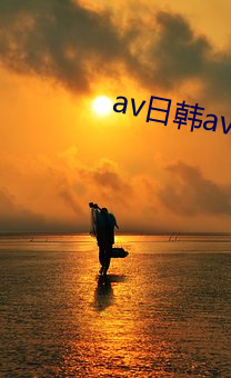 av日韩avav