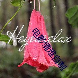 电影情难自制 （高官厚禄）