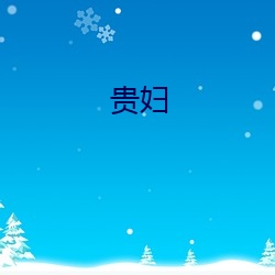 贵妇 （攻势）