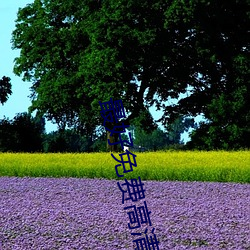 最好免费高清视频在线观看 （粗大）