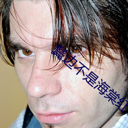 鬓邊不是海棠紅txt寶書網小說