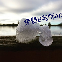 免费B老师app下载 （如出一口）