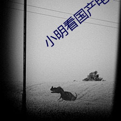 小明看(看)国(國)产电影