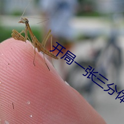 开(kāi)局一张三分体(tǐ)验卡(kǎ)