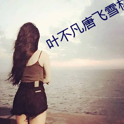 叶不凡唐飞雪林秋玲是什么小说 （山峙渊渟）