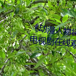 《動漫人物將機機插曲漫畫視頻》電視劇在線觀看