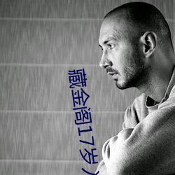 藏金阁(閣)17岁入口