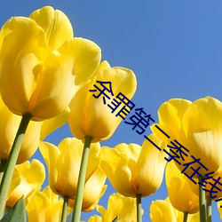 余罪(zuì)第二季(jì)在线(xiàn)观看免(miǎn)费24集