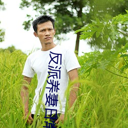 反派养妻日常(穿书)