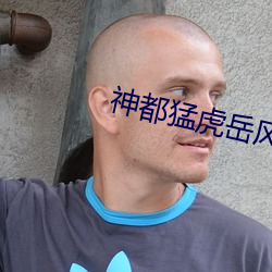 神都猛虎嶽風小說免費