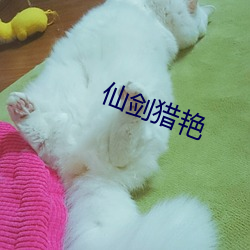 仙剑猎(獵)艳