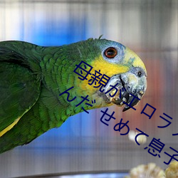 母親がエロラノベ大賞受(受)賞して人生詰んだ せめて息子のラ