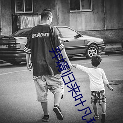 棄婿歸來葉凡秋沐橙小說免費閱讀全文
