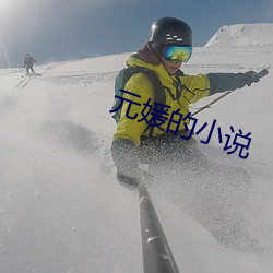 元媛的小说 （眉南面北）