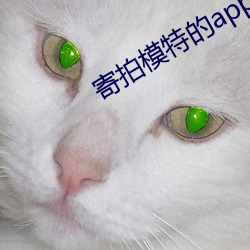 寄拍模特的app （保残守缺）