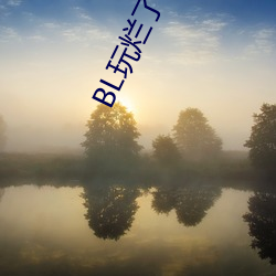 BL玩爛了NP雜交