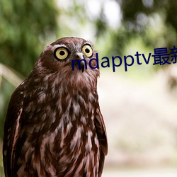 mdapptv最新免费版