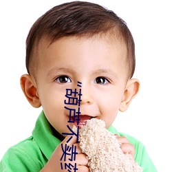 “葫芦不卖(賣)药(藥)”团(團)队揭示(示)神(神)秘“Huluwav2.24”软件(件)