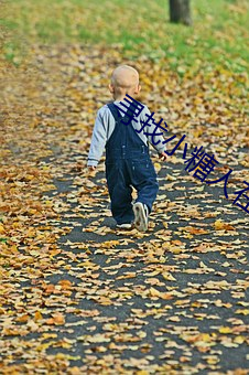 寻找小糖人(rén)在线播放免(miǎn)费