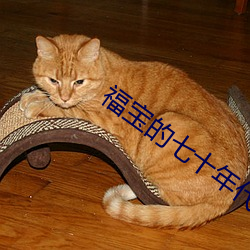 福宝的七十年代