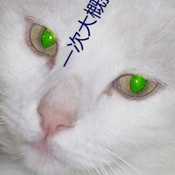 一次(次)大概持(持)续多长时间啊