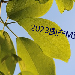 2023国产M豆传媒