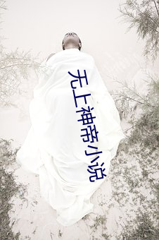 无上神帝小说