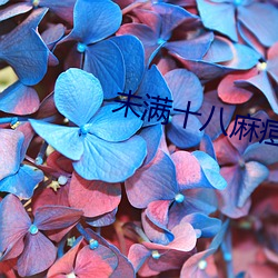 未满十八麻痘传媒
