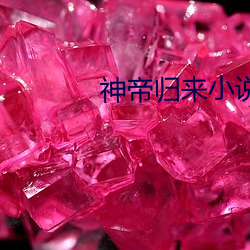 神帝归来小说 （专攻）