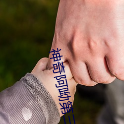 神奇阿呦第三季叫啥名
