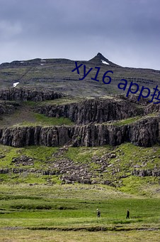 xy16 app换成什么了