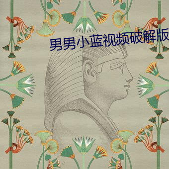 男男小蓝(lán)视频破解(jiě)版(bǎn)