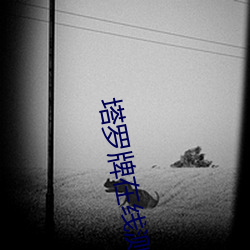 塔罗牌在线测试免费qq
