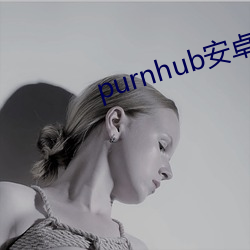 purnhub安卓下(下)载(載)