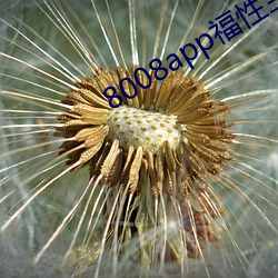 8008app福性寶app