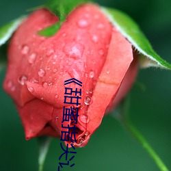 《甜蜜指尖让(ràng)身(shēn)体(tǐ)微热》