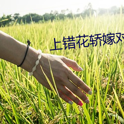 上错花轿嫁对郎在线观看 （平添）