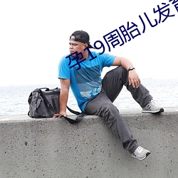 孕19周胎儿发育情况图片