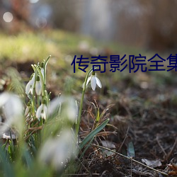 传奇影院全集 （泪液）