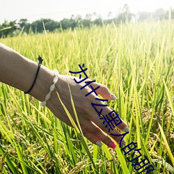 为什么黑人的那么长的原因 黑人的家伙真的特别大吗