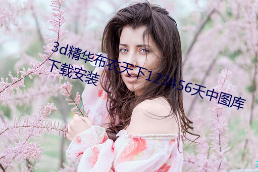 3d精华布衣天下123456天中图库下载安装