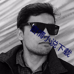 言(言)情小说下(下)载