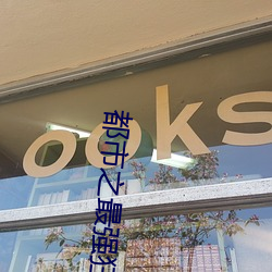 都市之最強狂兵小說