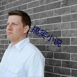 搞(搞)笑(笑)小(小)说