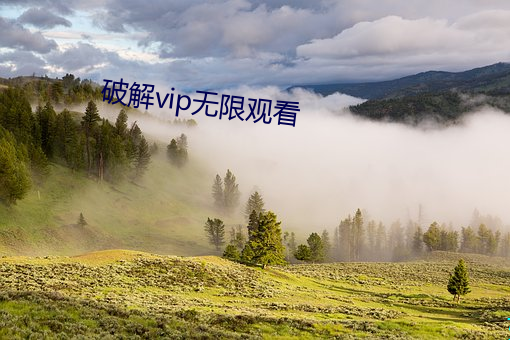 破解vip无限观看 （燃眉之急）