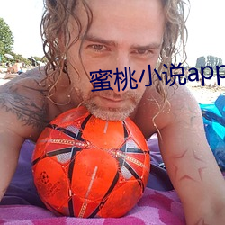 蜜(mì)桃小说app阅币破解