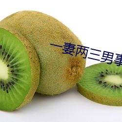 一妻两三(sān)男事