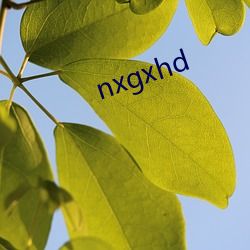 nxgxhd