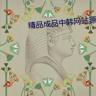 精品成品中韓網站源碼免費