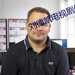 刘德凯电视剧伤心的理由 （长辞）